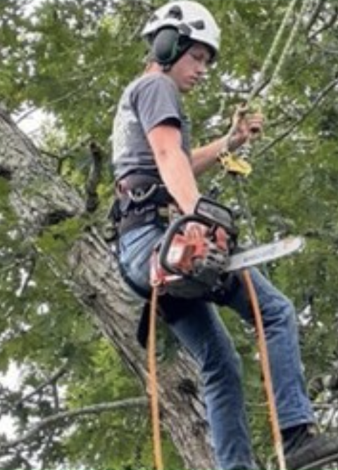 Powell's Tree Service climber wearing a harness, hard hat with ear protection and headset communication while operating a chainsaw
