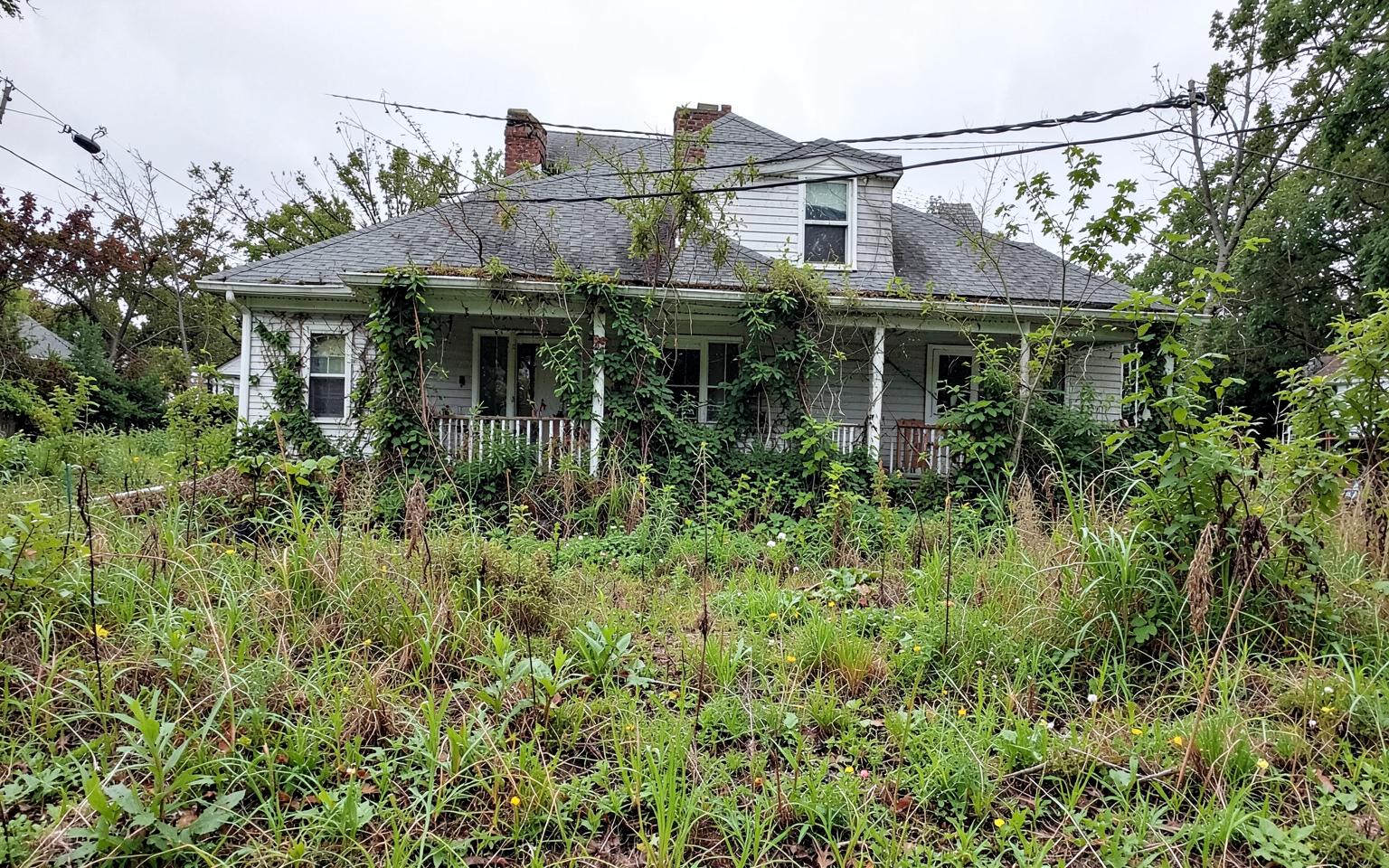 Neglected property overtaken by brambles, weeds and saplings