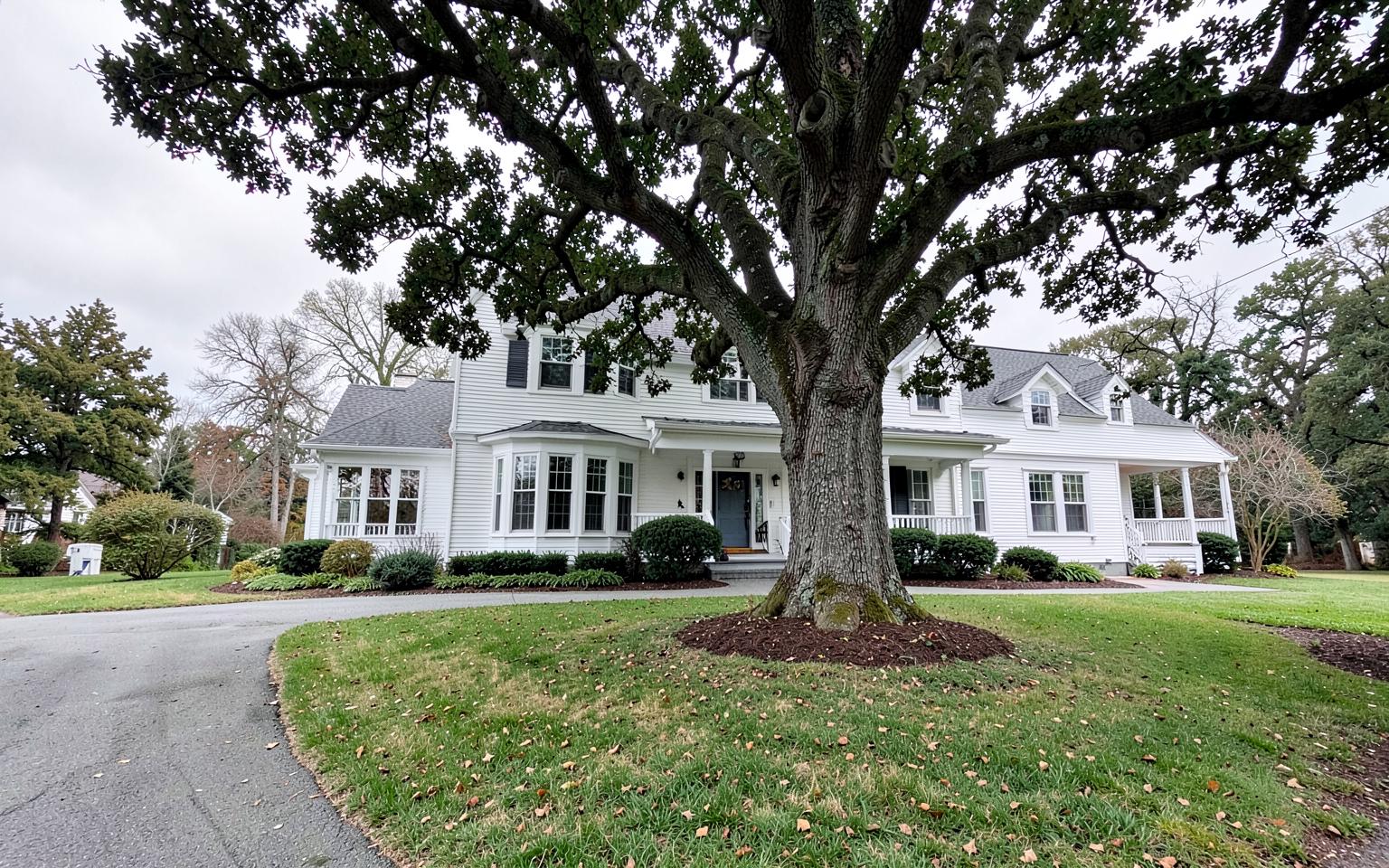 Mature tree crowding a New England home before professional removal