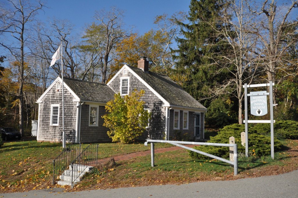 Wooded Backyard Clearing — Plymouth, MA
