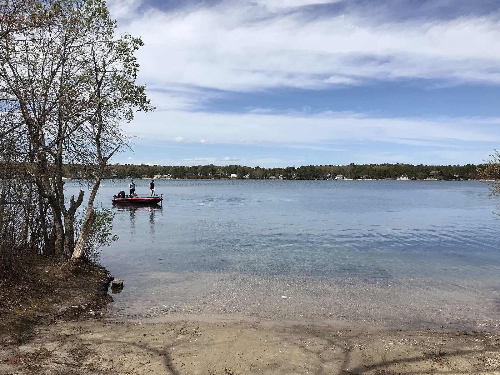 Overgrown Acreage Reclamation — South Shore, MA